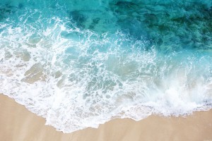 世界举重青少年选拔赛防疫与医疗保障流程优化，世界举重比赛规则
